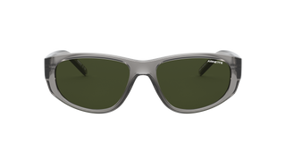 Shiny Transparent Grey