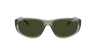 Shiny Transparent Grey