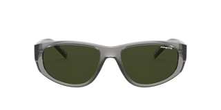 Shiny Transparent Grey