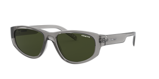Shiny Transparent Grey