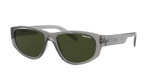 Shiny Transparent Grey