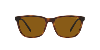 Dark Havana