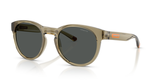 Transparent Olive