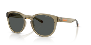 Transparent Olive