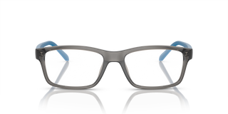Shiny Transparent Grey
