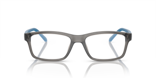 Shiny Transparent Grey