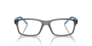 Shiny Transparent Grey